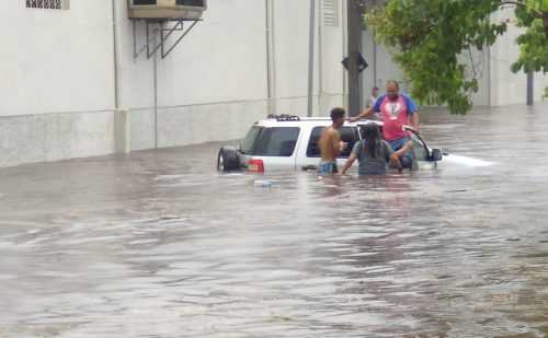 Chuva Causa Alagamentos, Derruba árvores E Deixa Motoristas Ilhados Na ...